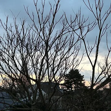 Appartement Le Cocon Mulhouse